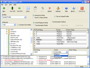 CiAN Text Replacer 2.80 for to mp4