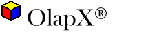 OlapX Web Control