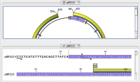CLC Sequence Viewer 7.0.2 screenshot. Click to enlarge!