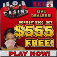 3D USA Casino $555 FREE! 4.2011 P. screenshot. Click to enlarge!