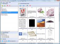 A-PDF Image Extractor 3.9 screenshot. Click to enlarge!