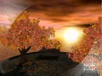 AD Autumn Sunset - Animated 3D Wallpaper 3.1 screenshot. Click to enlarge!