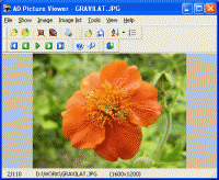 AD Picture Viewer 3.9.1 screenshot. Click to enlarge!