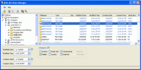 AFile Attribute Manager 4.0.0.4 screenshot. Click to enlarge!