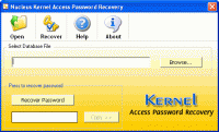 Access Password Recovery PROFESSIONAL 4.02 screenshot. Click to enlarge!