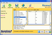 Access Repair Tool 7.06.03 screenshot. Click to enlarge!