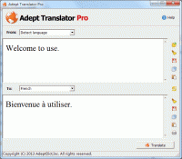 Adept Translator Pro 5.3.0 screenshot. Click to enlarge!