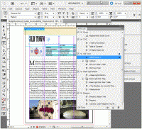 Adobe InDesign CC 2017.1.12.1.0 screenshot. Click to enlarge!
