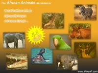 African Animals Screensaver 1.7 screenshot. Click to enlarge!