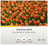 Amazing Audio Player 3.2 screenshot. Click to enlarge!