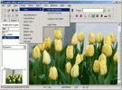 Amazing Graphic Editor 1.5 screenshot. Click to enlarge!