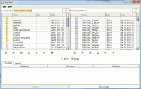 AnyClient 6.0.2.88 screenshot. Click to enlarge!