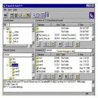 Auto FTP Professional 4.8 screenshot. Click to enlarge!