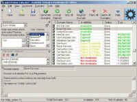 Available Domains Professional Edition 4.1.3 screenshot. Click to enlarge!