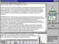 BAL2000 3.0 screenshot. Click to enlarge!