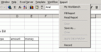 BC Excel Server 2008 Standard Edition 8.3 screenshot. Click to enlarge!