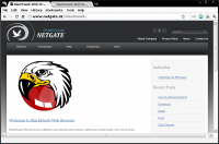 BlackHawk Web Browser 39.0.2132.2 screenshot. Click to enlarge!