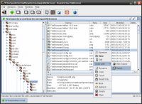 BoarderZone FileBrowser 0.16.645 Alpha screenshot. Click to enlarge!