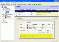 Brilliant Database Server 10.06 screenshot. Click to enlarge!