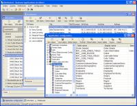 Business Applications Architect 3.0 screenshot. Click to enlarge!
