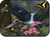Butterflies3D 1.0 screenshot. Click to enlarge!