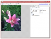 Bytescout Bitmap Visualizer 1.0.2.103 screenshot. Click to enlarge!