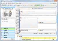 C-Organizer Professional 6.2 screenshot. Click to enlarge!