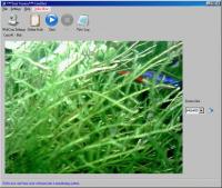 CamShot Monitoring Software 3.1.4 screenshot. Click to enlarge!