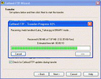 Catfood FTP Wizard 3.02.0005 screenshot. Click to enlarge!