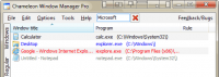 Chameleon Window Manager Lite 2.2.0.427 screenshot. Click to enlarge!
