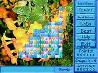ClickPuzzle Gold 1.21 screenshot. Click to enlarge!