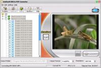 Convert DVD 2 PSP 2011.1105 screenshot. Click to enlarge!