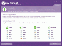 Copy Protect 2.0.2 screenshot. Click to enlarge!