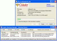 Crawler Download Manager 4.5 screenshot. Click to enlarge!