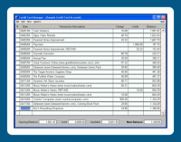 Credit Card Manager 3.04.05 screenshot. Click to enlarge!