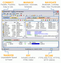 Cute FTP Professional 8.3.4 screenshot. Click to enlarge!