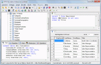 DTM SQL Editor Enterprise 2.05.00 screenshot. Click to enlarge!