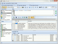 Database Browser 5.3.1.9 screenshot. Click to enlarge!