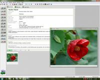 Deeproot Plant Base 2.1.6 screenshot. Click to enlarge!