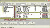 DelinvFile 5.02.5.2.0.121 screenshot. Click to enlarge!