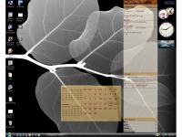 DeskLook 3.5 screenshot. Click to enlarge!