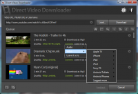 Direct Video Downloader 2.10 screenshot. Click to enlarge!