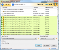 DownThemAll! 3.0.8 screenshot. Click to enlarge!