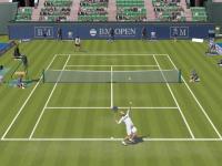Dream Match Tennis 1.19 screenshot. Click to enlarge!