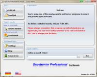 Dupehunter Professional 9.6.0.3950 screenshot. Click to enlarge!