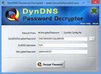 DynDNS Password Decryptor Portable 1.0 screenshot. Click to enlarge!