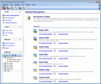 EMS SQL Management Studio for MySQL 1.3.0.46170 screenshot. Click to enlarge!