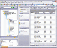 EMS SQL Manager for SQL Server 3.6 screenshot. Click to enlarge!