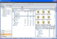 EagleEyeOS Professional 3.1.0 screenshot. Click to enlarge!