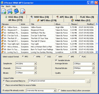 Efficient WMA MP3 Converter 0.99.9.2 screenshot. Click to enlarge!